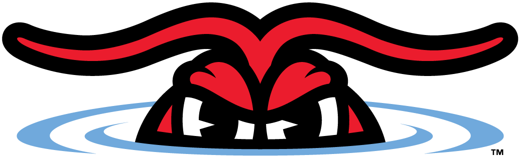 Hickory Crawdads 2016-Pres Alternate Logo v2 iron on heat transfer